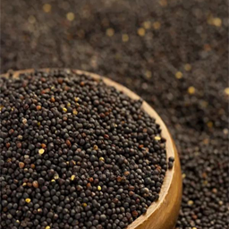Rapeseeds