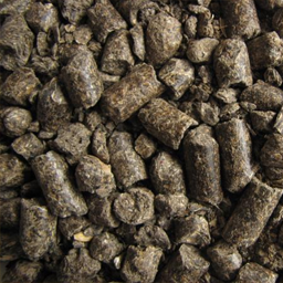 Sunflower meal